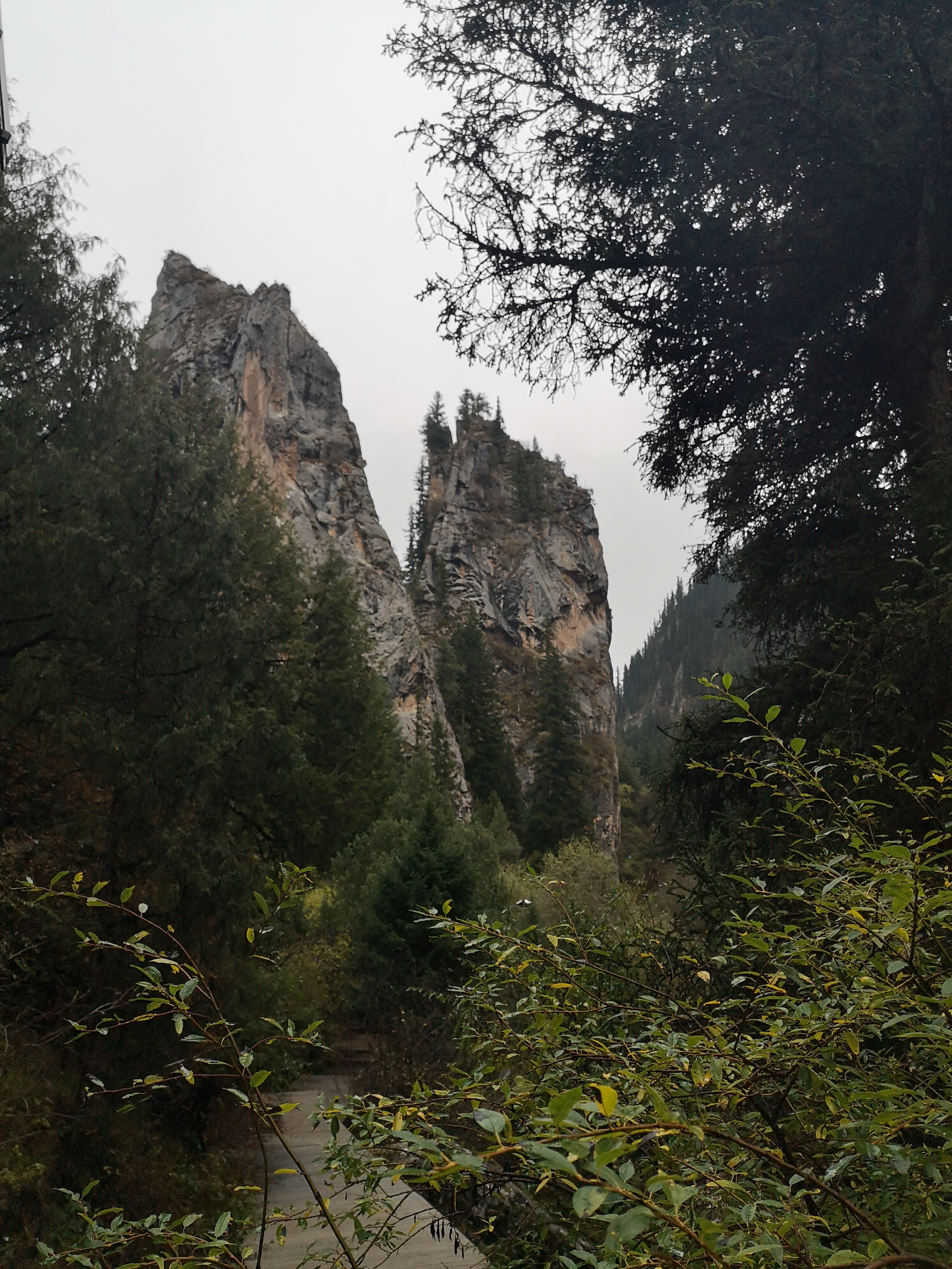 则岔石林游记,尕海湖和则岔石林