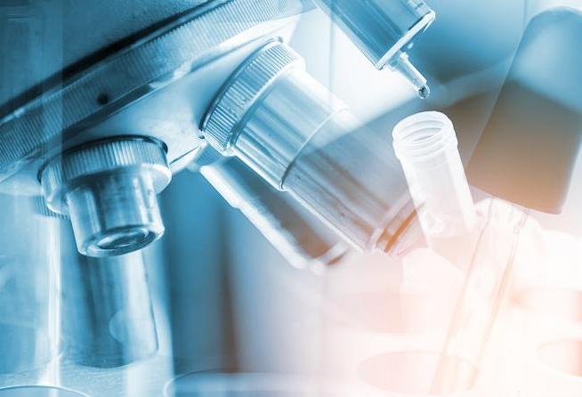 冠状病毒的来源大揭秘最新进展,冠状病毒发源地到底是怎么来的