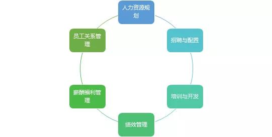 成为一名hr的要求,成为hr需要选什么专业