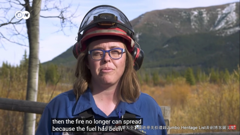 第4027回:气候*弹炸**亚洲纸浆,水上烟泥炭地退化