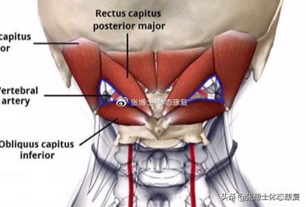 颈部僵硬康复训练方法,怎样缓解肩颈僵硬情绪紧张