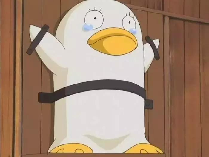 种口牙堪比买辆宝马,一口牙等于一辆宝马