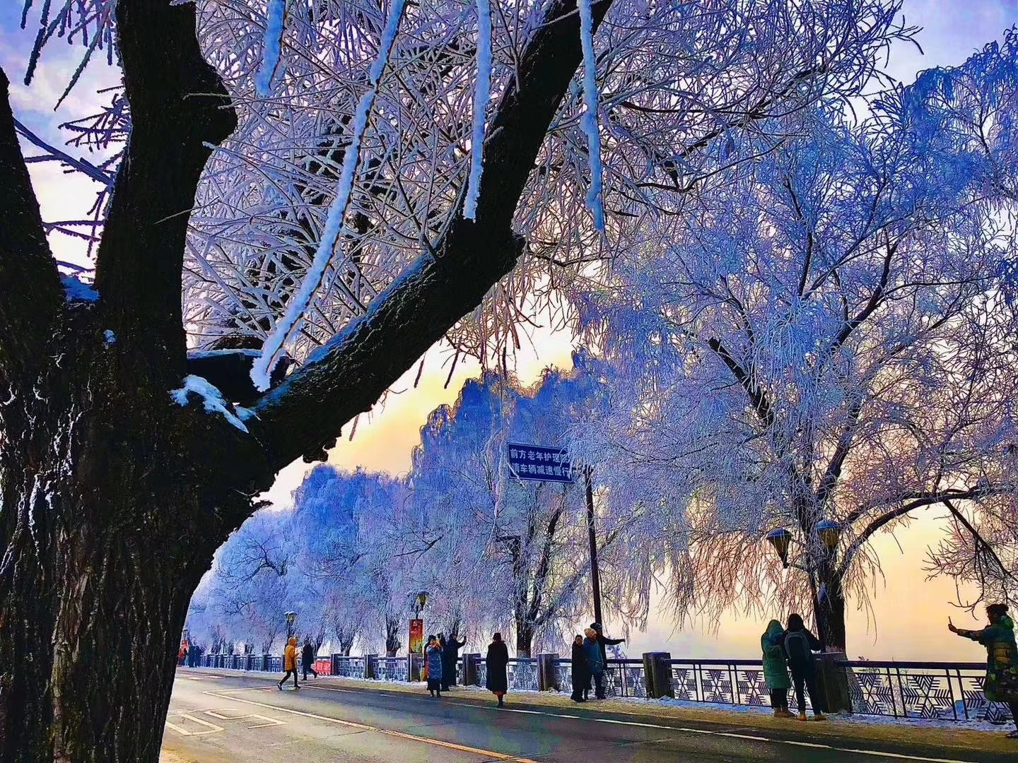 今年农村过年猪为什么要求提前杀,南方杀年猪和北方杀年猪的区别