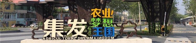 北戴河最大的森林公园,天然氧吧北戴河联峰山