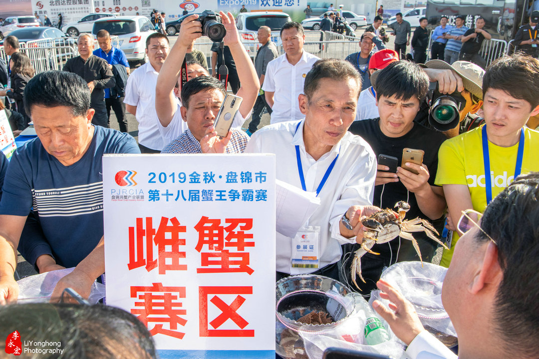 盘锦赵圈河镇河蟹,蟹园盘锦河蟹