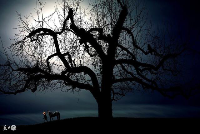 小说穿越神秘古墓,小说带着女尸去盗墓全文免费阅读