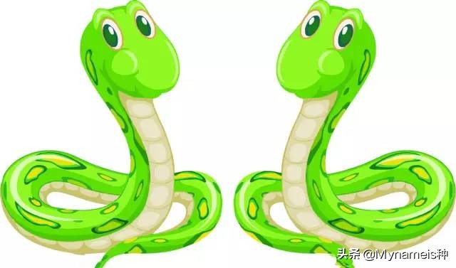 灞炵浉澶╁懡,澶╁懡灞炵浉