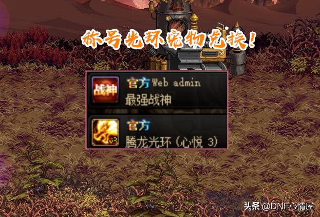 dnf心悦1可以兑换心悦3的光环吗,dnf心悦3000积分换哪个宠物好