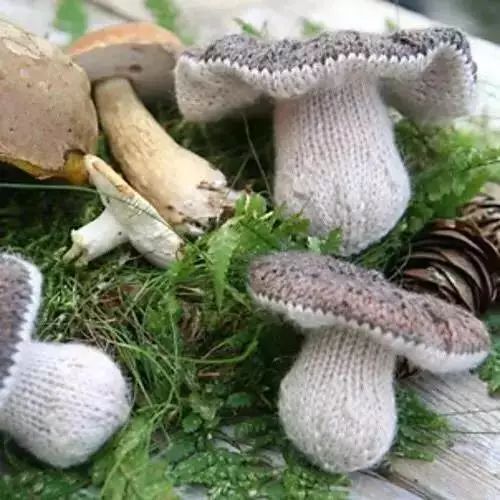 适合幼儿园宝宝的手作编织毛线 (毛线编织水果蔬菜教程)