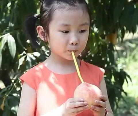 肥城市的经济特色和优势,山东肥城大桃介绍