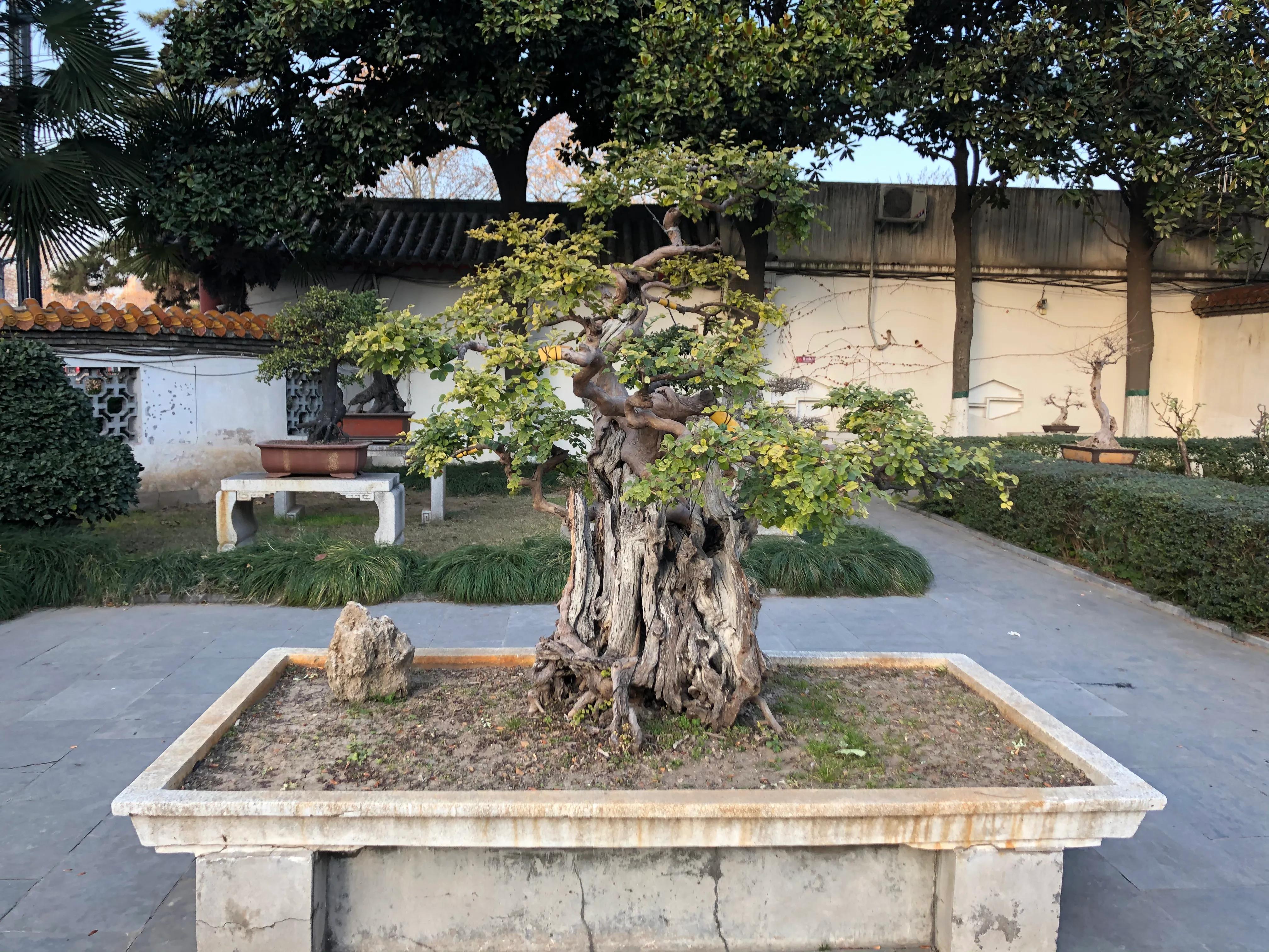 平顶山河滨公园旅游攻略,平顶山森林公园游记