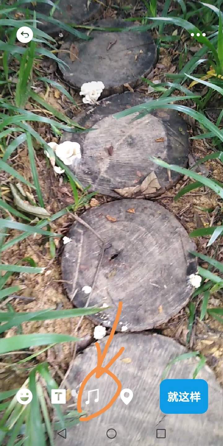 教你如何在朋友圈给自己拍的视频加音乐和文字