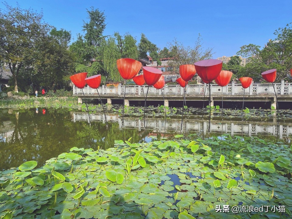 成都最大的欢乐谷,成都欢乐谷晚上门票多少钱