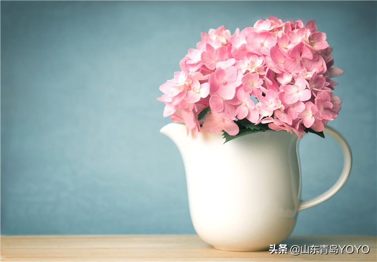 花店最容易被顾客误解的几种花材,新手开花店必备花品有哪些