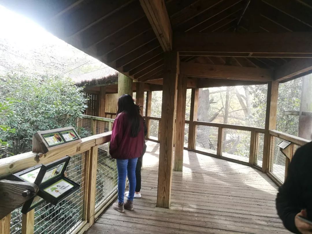 亚特兰大动物园,亚特兰大动物园和华盛顿动物园