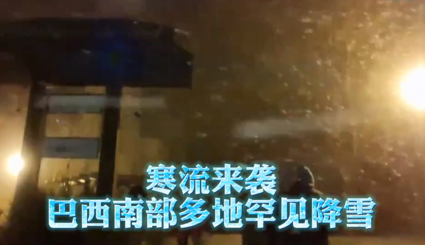 河南邓州惊现飞虫集聚，被传为“涨水蛾”，它们的出现意味什么？