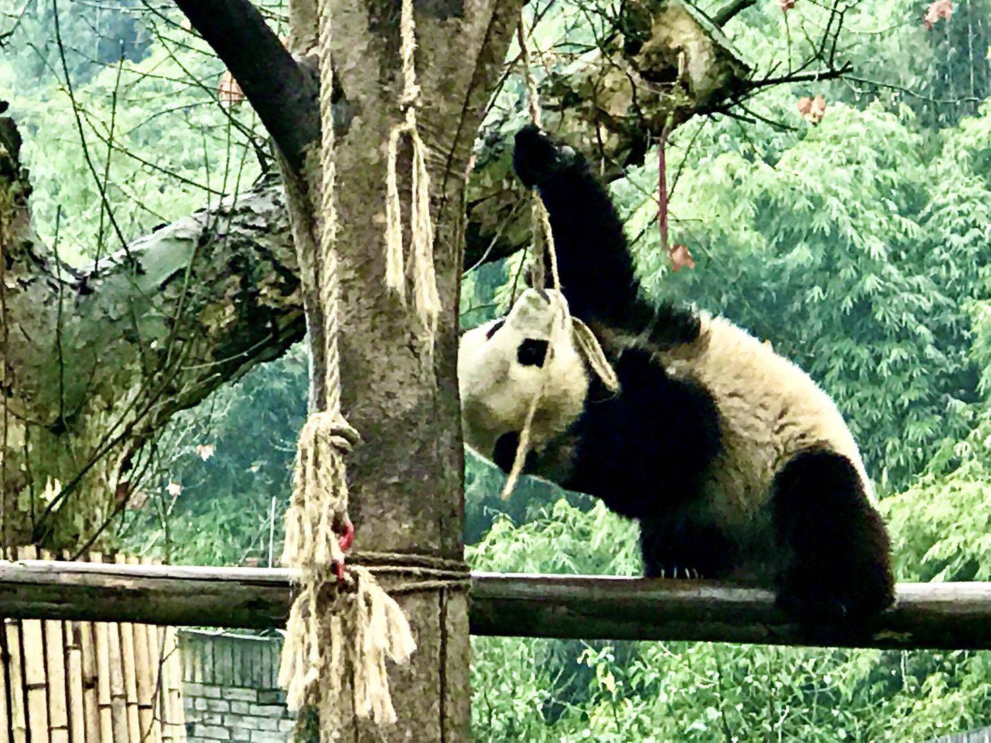 逛吃逛喝成都,成都逛夜市可以去哪