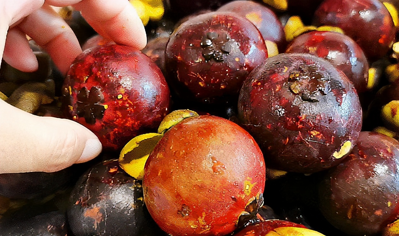 如何选到鲜甜山竹,怎样挑山竹山竹又甜又好吃皮薄