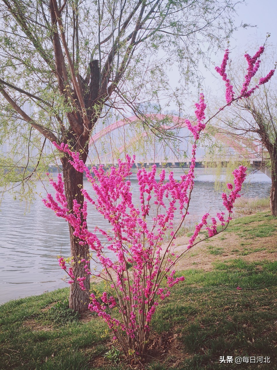 河北抗疫支援武汉,需要什么就支援什么