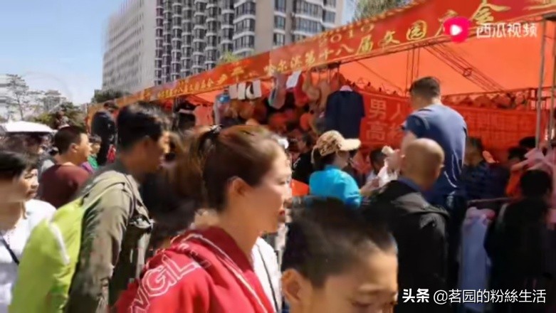 哈尔滨极乐寺庙会门票,哈尔滨极乐寺端午