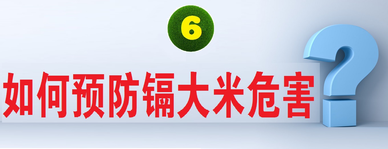 舌尖上的安全感悟,舌尖上的安全全册