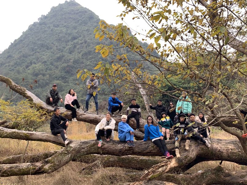 疫情过后娱乐行业重创,疫情过后旅游业的反弹