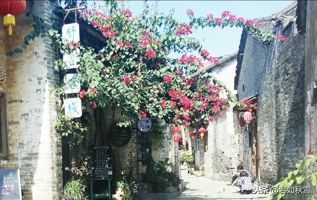 走失的爱情,走失的爱情完整版