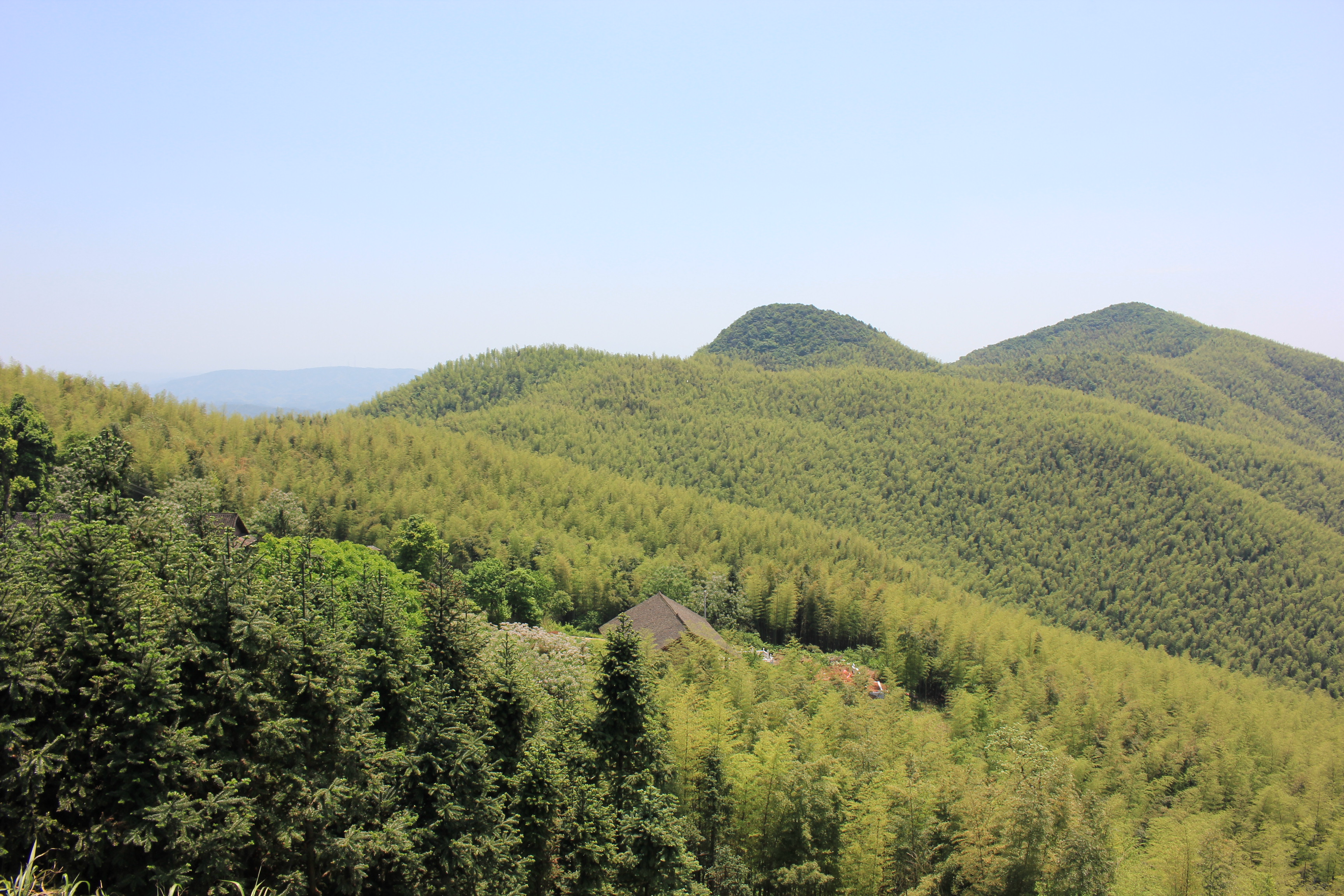 清明拜祭的伤心诗句,清明纪念逝者图片