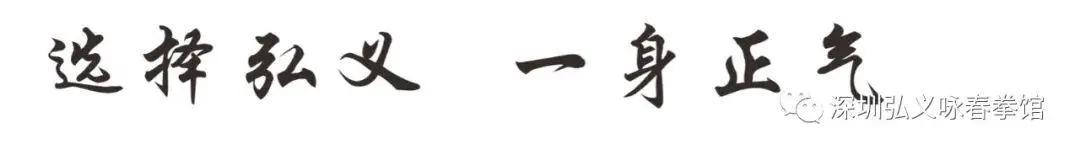 咏春叶问32种基本拳法慢动作教学,咏春拳教程叶问棍法