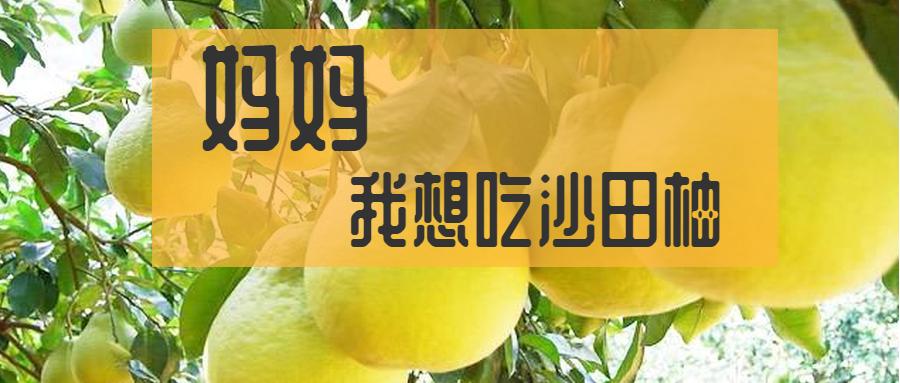 吃不完的柚子怎么保存,一个人柚子吃不完该怎么切