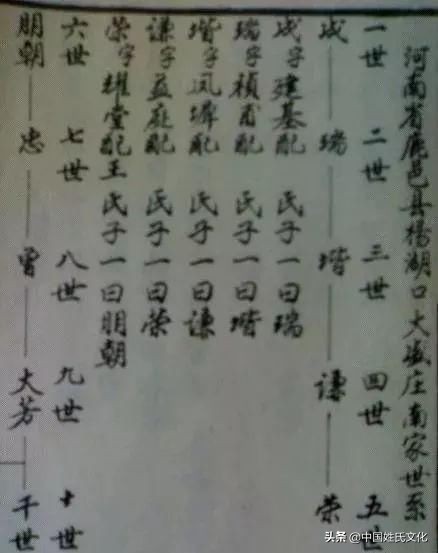 家谱正确编写方法视频,家谱怎么编写简单又好看现代