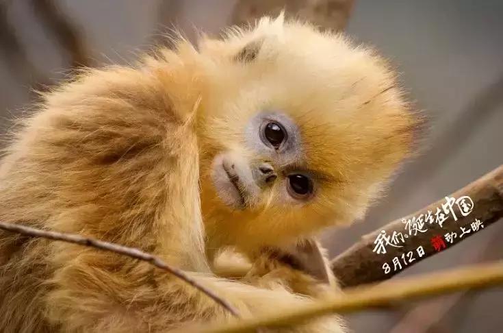 一定要陪孩子看这10部动画电影,假期带孩子看的10部动画电影