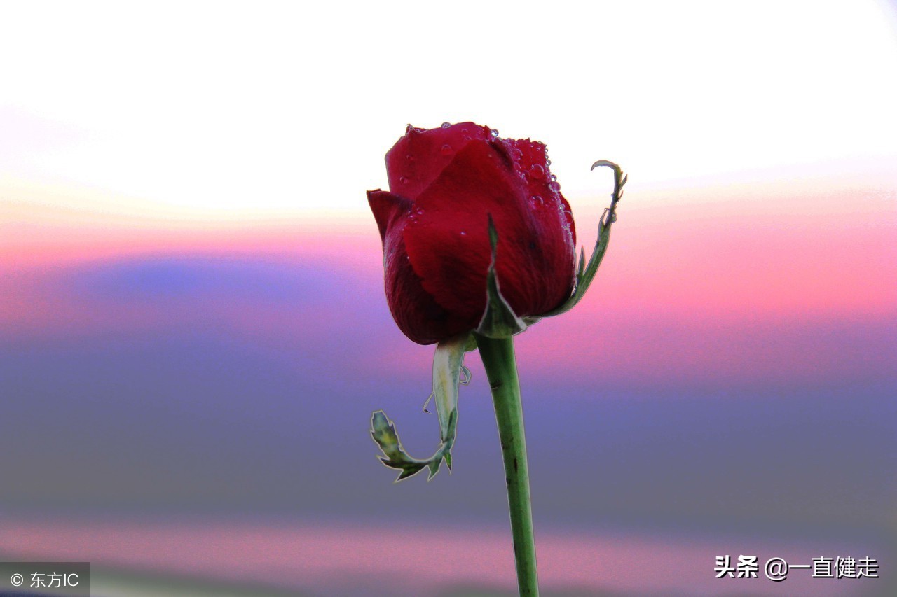 一目了然——《诗经》（256——265）