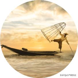 黄鳝常见疾病与防治综述性论文,网箱养殖黄鳝常见病防治