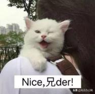 cad里面dwf格式的文件怎么换成pdf,2021版本cad怎么插入dwf图纸