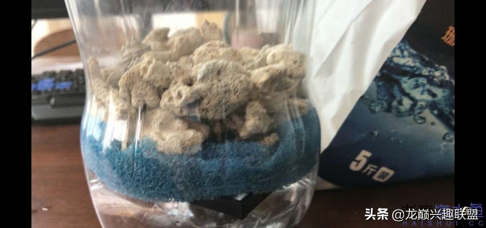 从零开始玩海缸的方法,从零开始玩海缸全过程