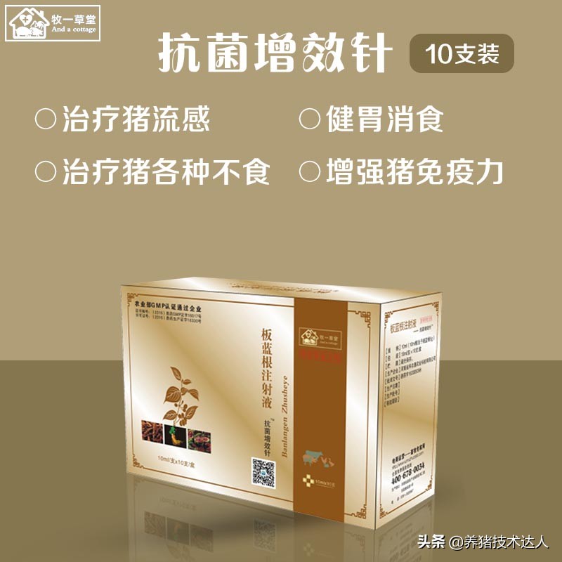 链球菌的症状及防治,链球菌最佳治疗方法