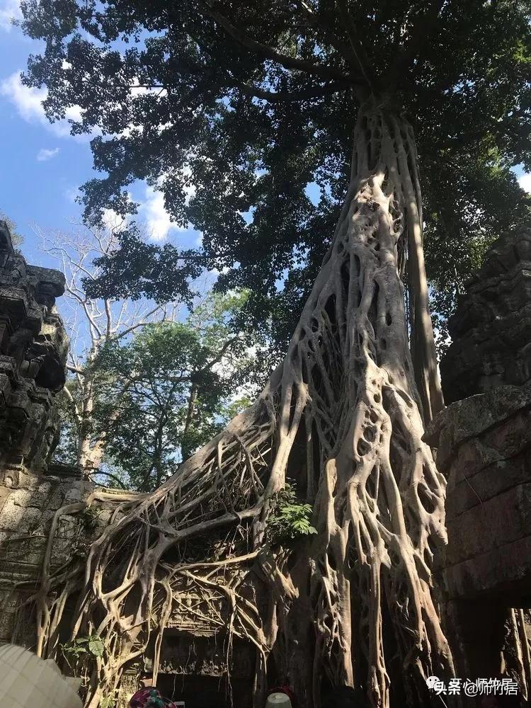 柬埔寨游记600字,柬埔寨游记美篇