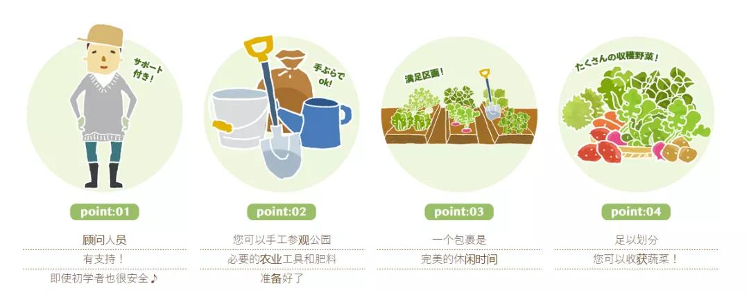 农庄餐饮怎么经营赚钱,怎么经营农家乐卖菜生意