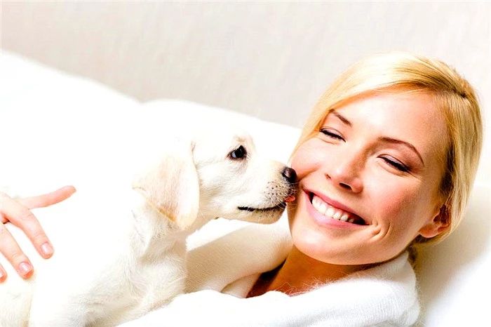 狗狗亲嘴是什么行为,狗狗亲吻你的嘴巴是什么意思