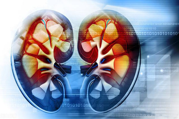 男人肾病怎么补,男性肾病有痊愈的方法吗