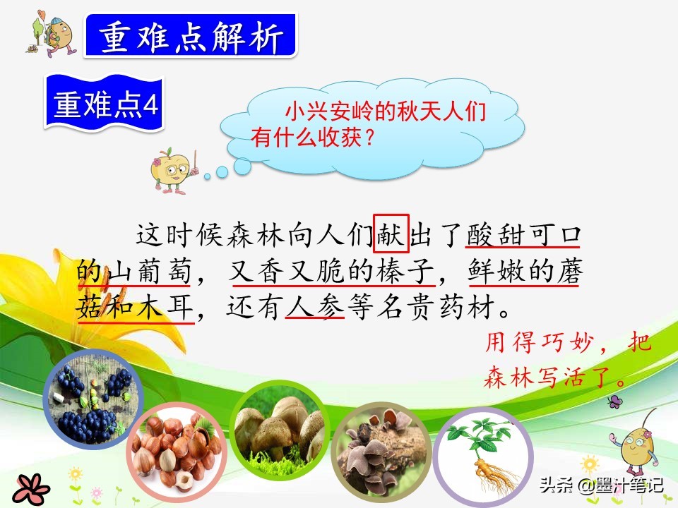 美丽的小兴安岭课文讲解人教版,三上语文美丽的小兴安岭课文讲解