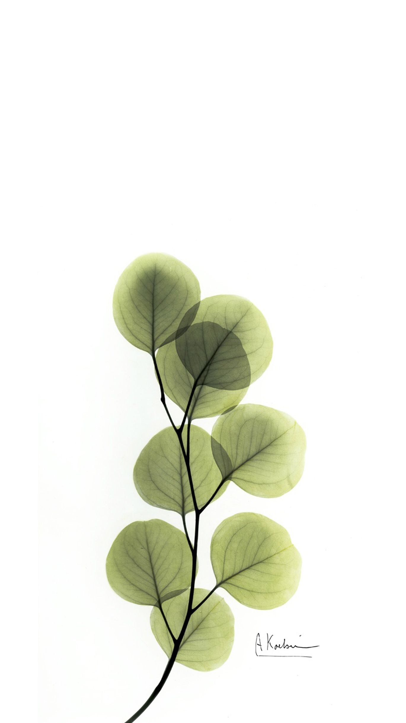 不好意思我以为你是吴彦祖啥意思,真不好意思了是什么意思