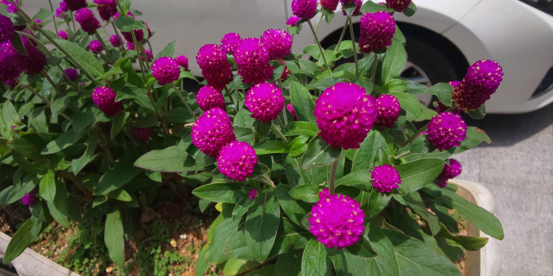 夏普r2主题,夏普r2显示效果