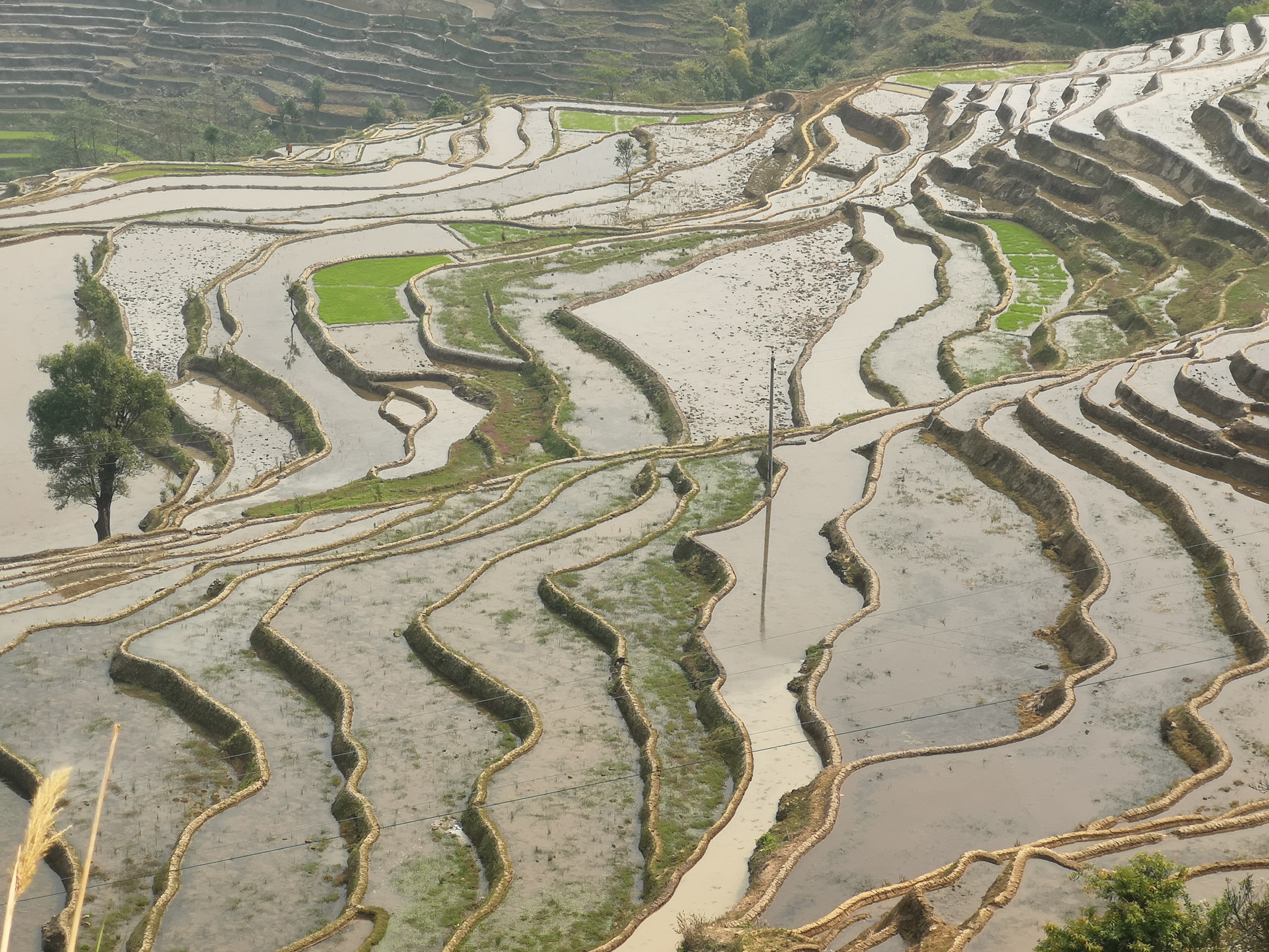 去云南旅游自驾2万元够吗,不到2000元的云南十日游