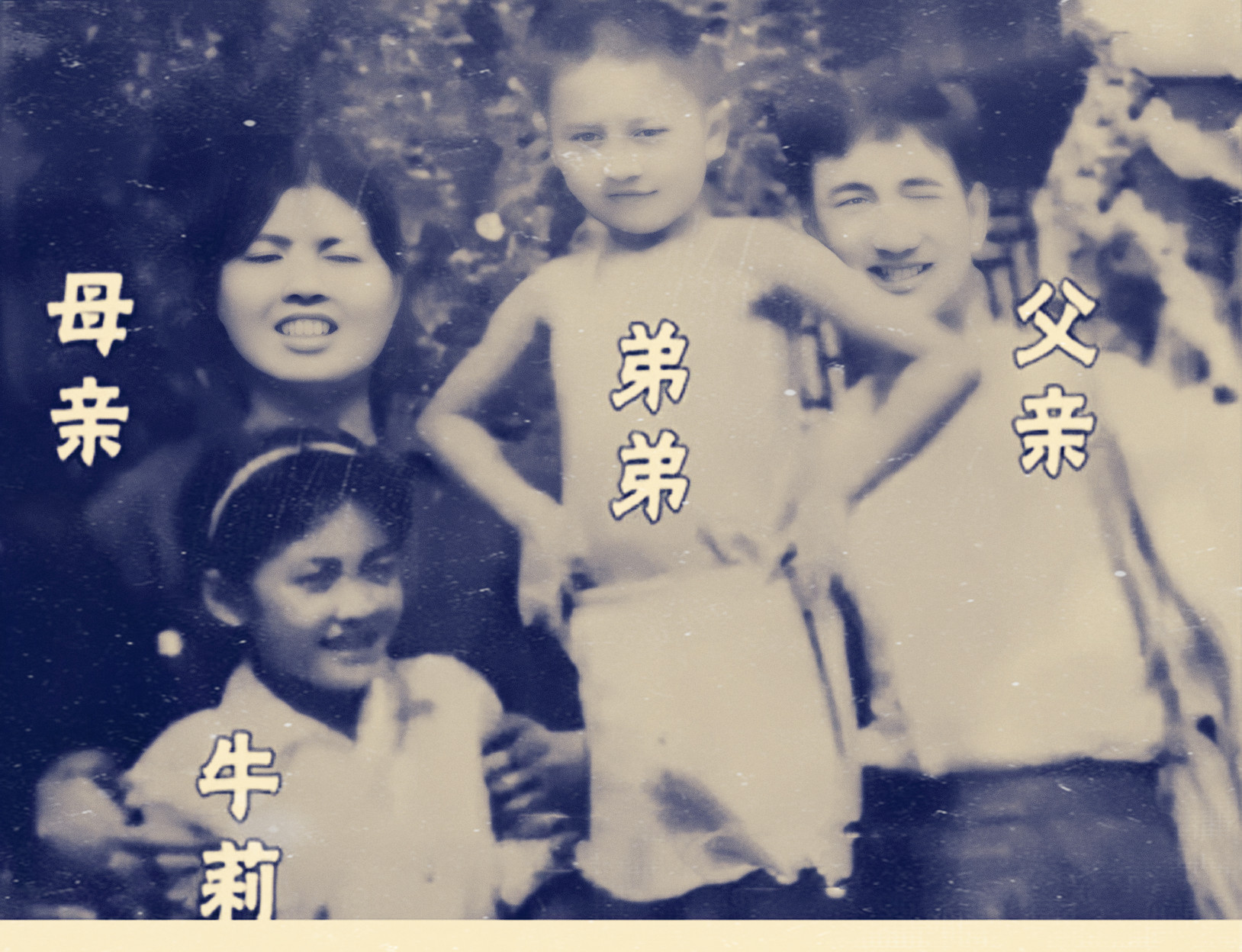 牛莉一家三口近照曝光,牛莉晒一家三口照片