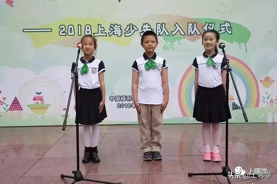 上海杨浦区小学对口地段图,杨浦区小学初中对口地段表