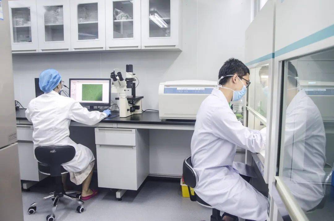 dna亲子鉴定需要些什么材料,做亲子鉴定需要多少钱