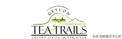 锡兰藏着3家罗莱夏朵：英式茶园野奢帐篷和悬崖海滨，随时去隐居