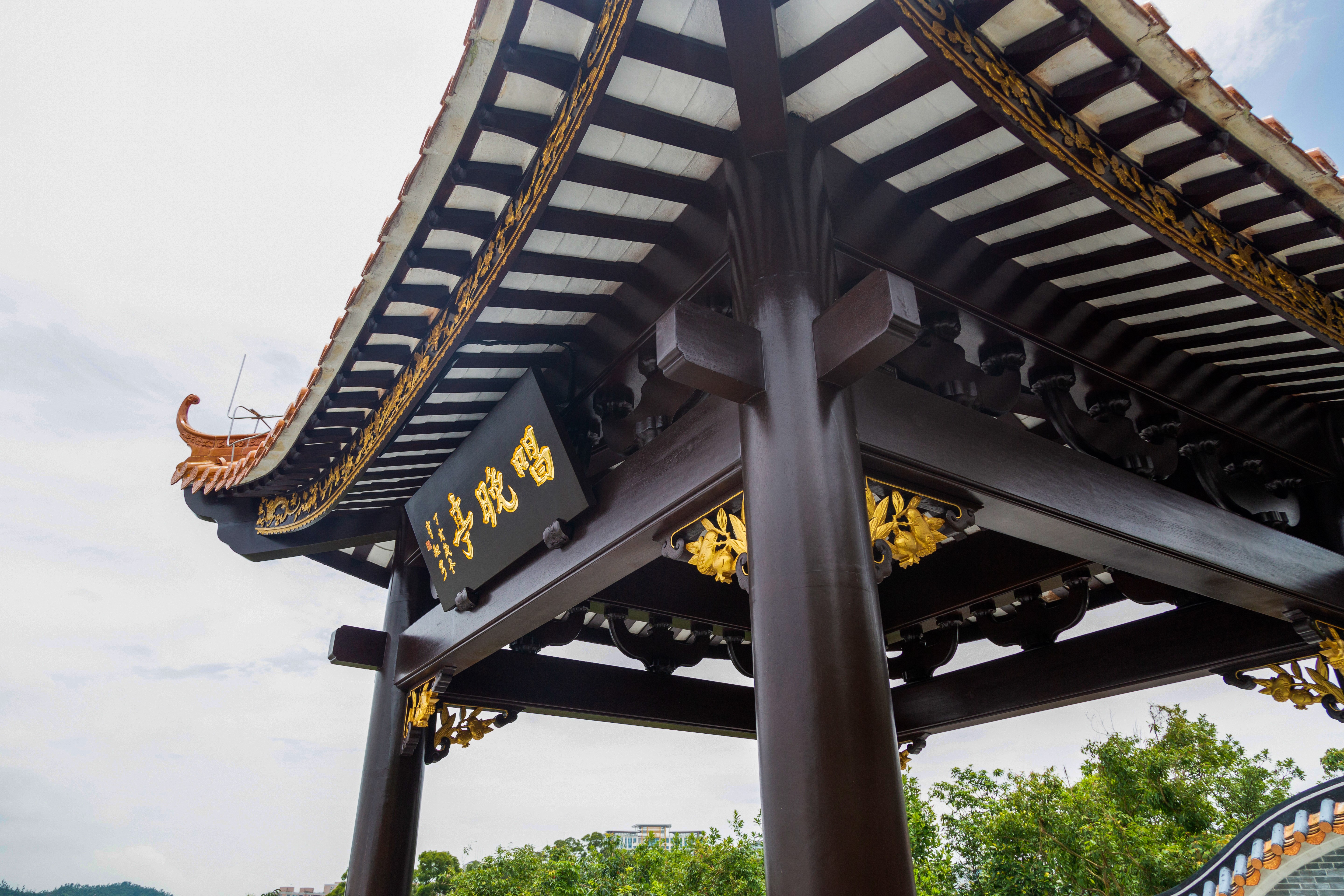 野狸岛公园是哪里的景区,野狸岛自然主题公园